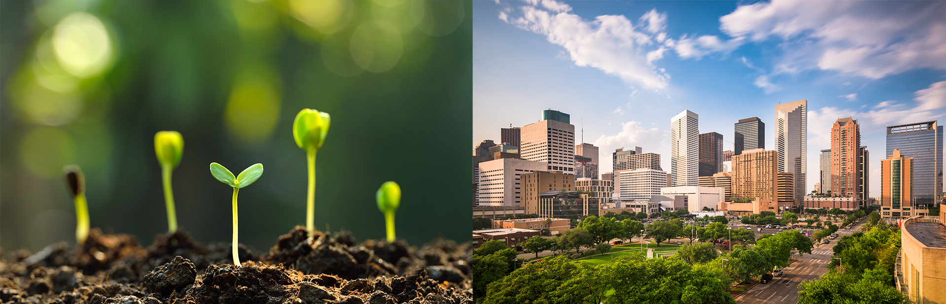 Nous aidons les PME et ETI à croître à l'international