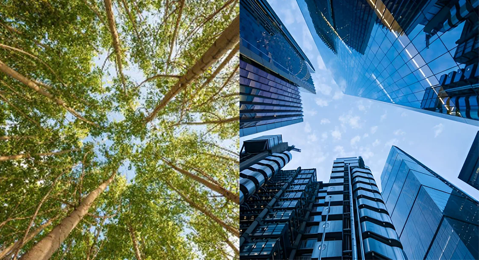 Nos points d'excellence