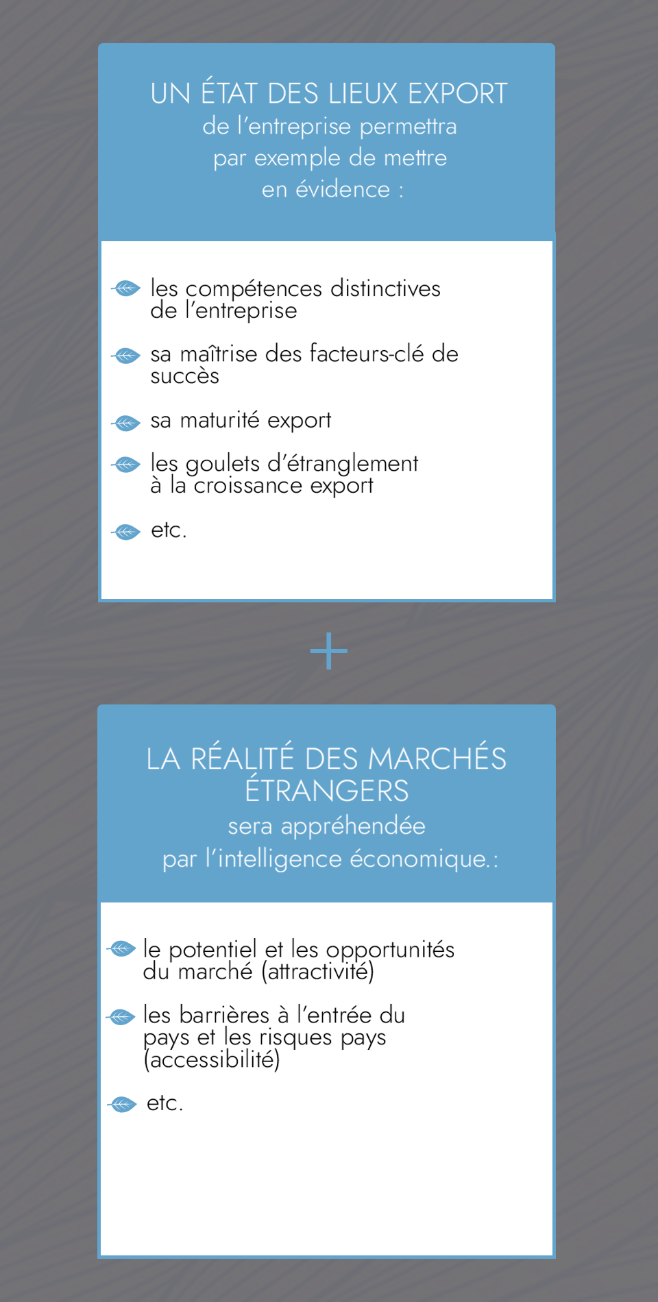 Conseil  & Due diligence