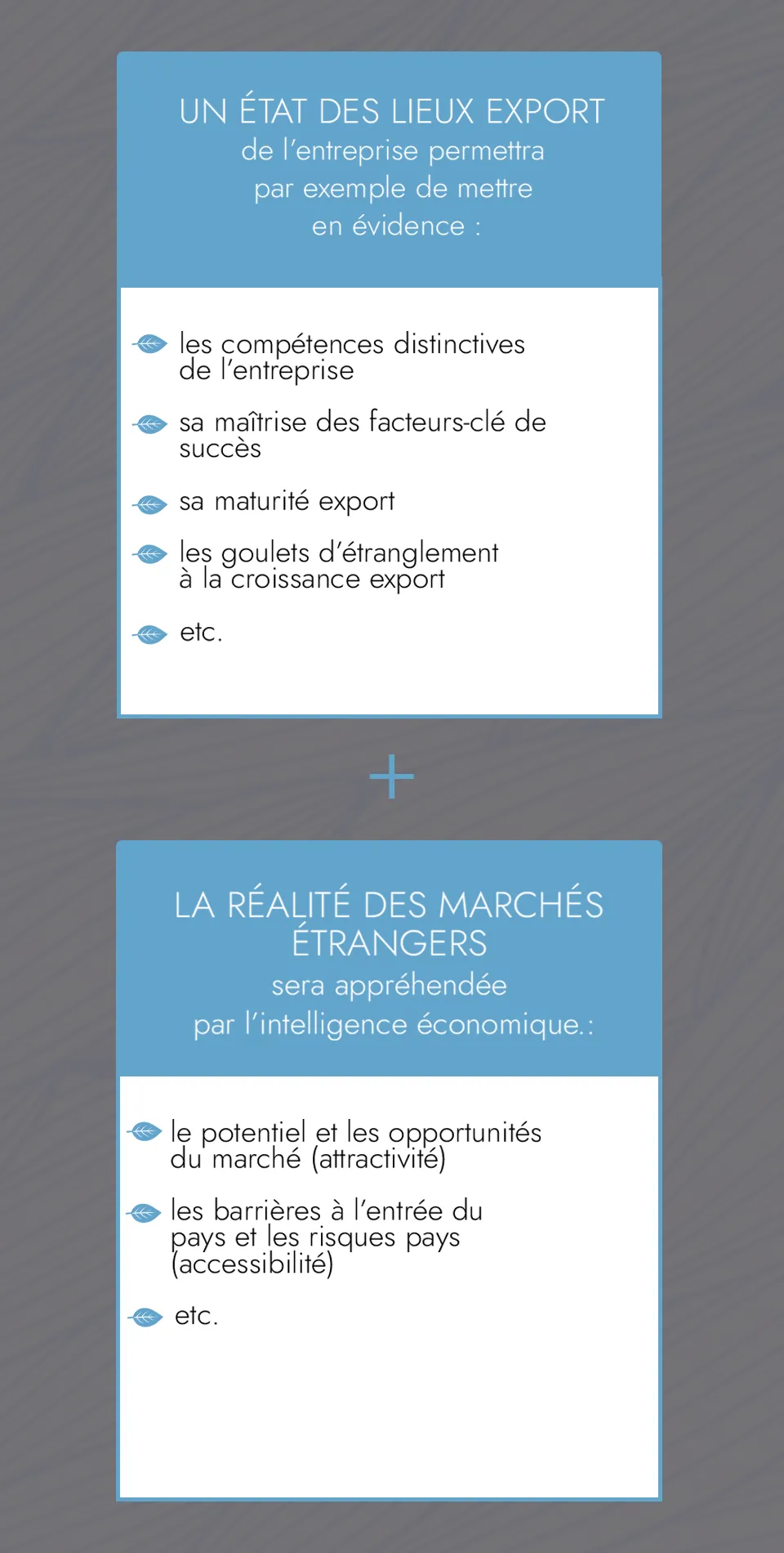 Conseil  & Due diligence - Part 1