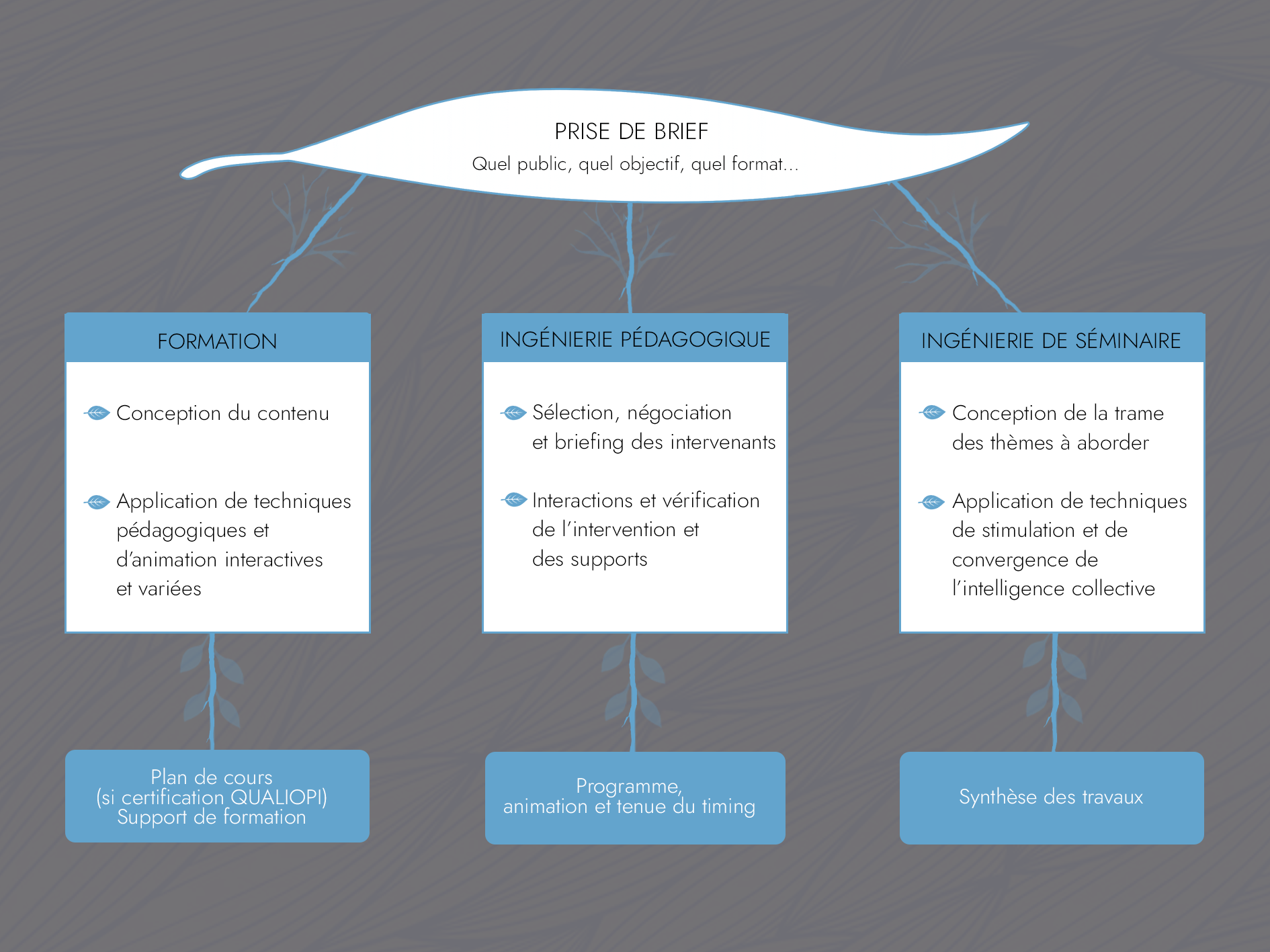 Formation  & Ingénierie de séminaire