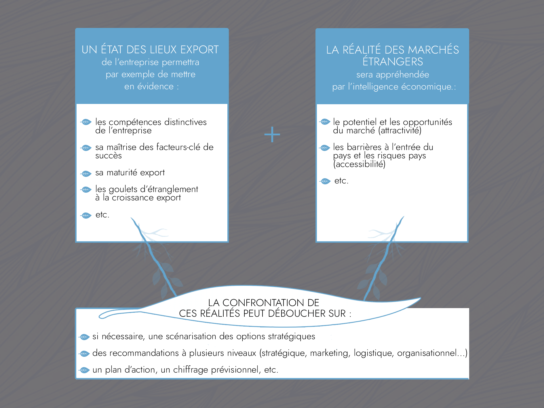 Conseil  & Due diligence