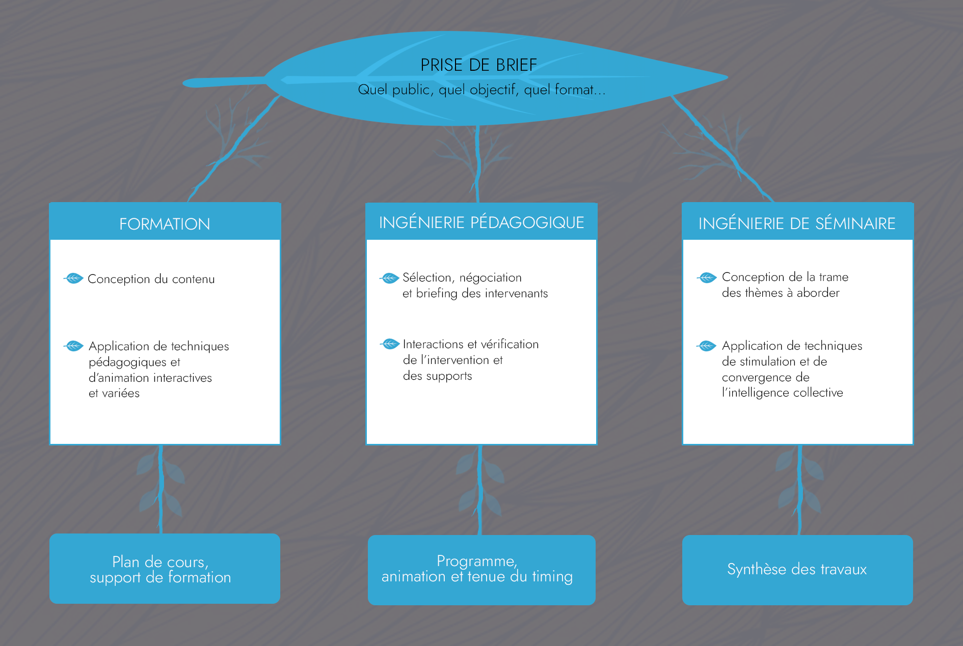 Formation  & Ingénierie de séminaire