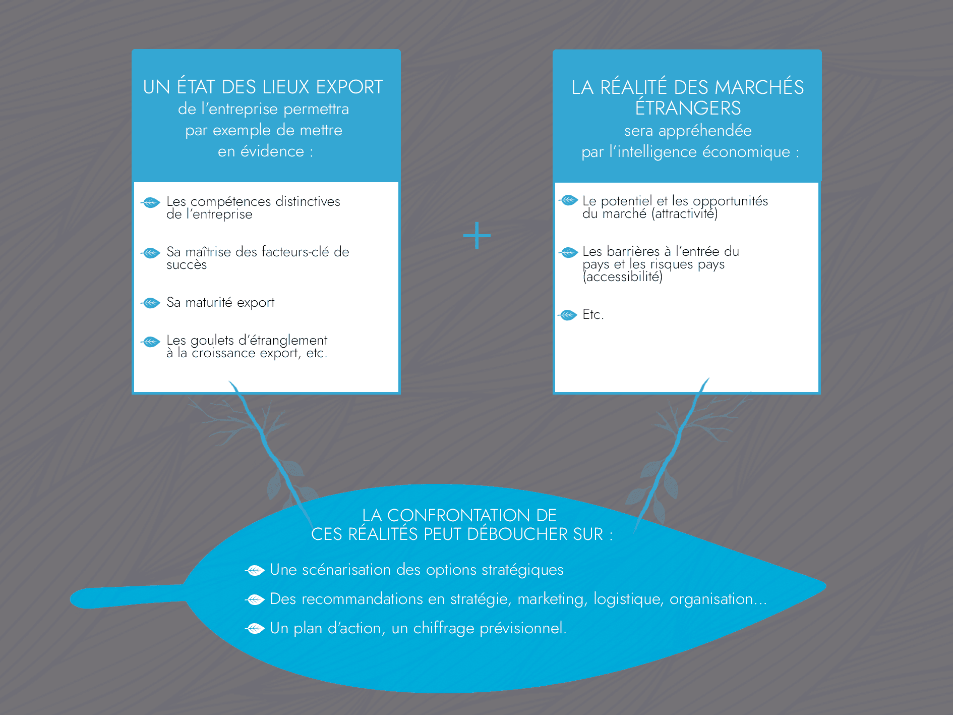Conseil  & Due diligence